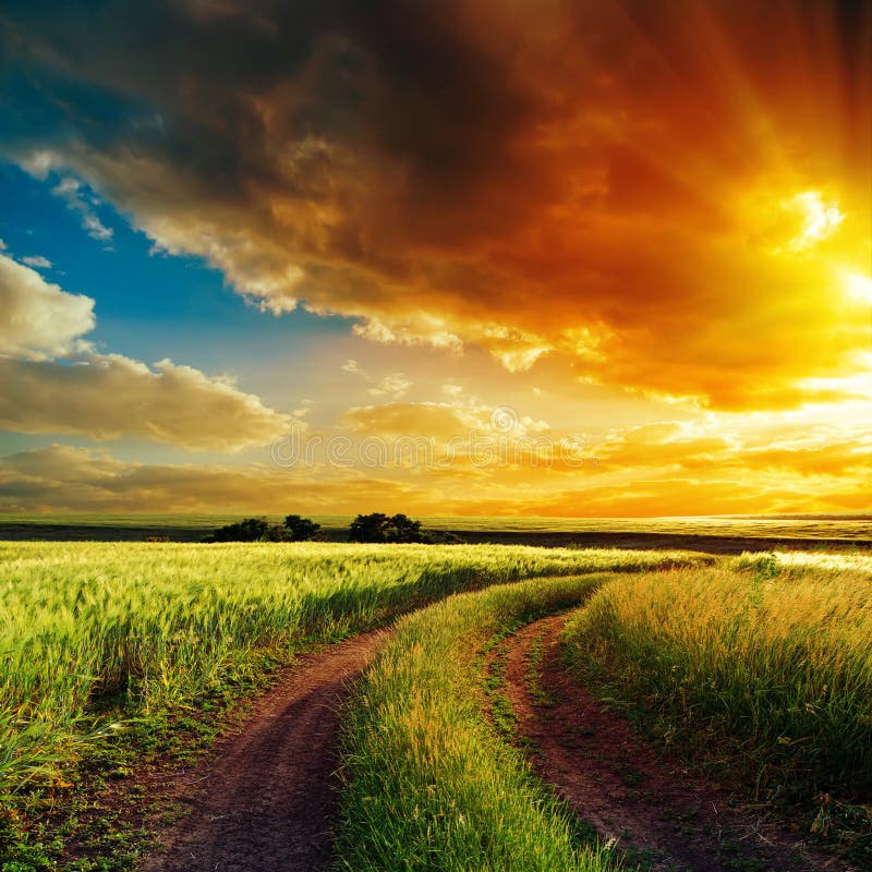 Coucher du soleil au-dessus de route d'enroulement dans le domaine image libre de droits Coucher du soleil au-dessus de route d'enroulement dans le domaine image libre de droits