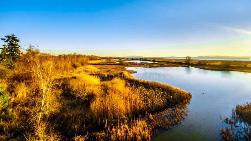 Coucher du soleil au-dessus des marécages de la réserve d'oiseaux de Reifel près de Ladner, AVANT JÉSUS CHRIST, le Canada images libres de droits Coucher du soleil au-dessus des marécages de la réserve d'oiseaux de Reifel près de Ladner, AVANT JÉSUS CHRIST, le Canada images libres de droits