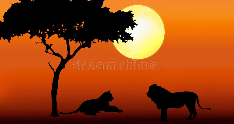 Lion Et Lionne Dans Le Coucher Du Soleil Illustration Stock