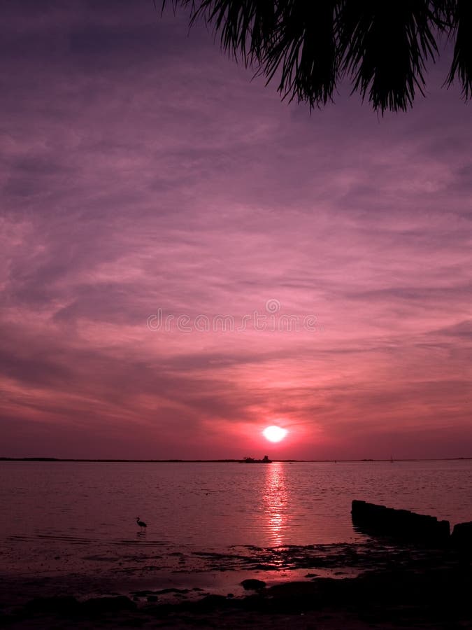 A tranquil setting at Palm Harbor, Florda. A tranquil setting at Palm Harbor, Florda