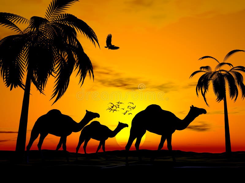 Illustration of Camels walking in desert sunset, birds in sky, scene framed with palm trees. Travel concept. Illustration of Camels walking in desert sunset, birds in sky, scene framed with palm trees. Travel concept.