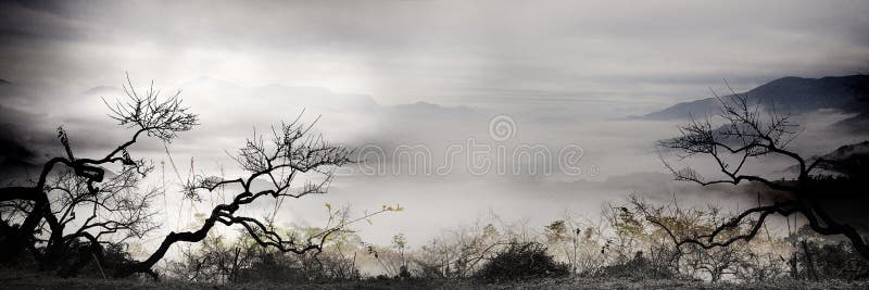 Coucher du soleil et arbres de baobabs photographie stock libre de droits Coucher du soleil et arbres de baobabs photographie stock libre de droits