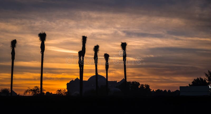 Coucher du soleil et silhouette des palmiers photographie stock libre de droits Coucher du soleil et silhouette des palmiers photographie stock libre de droits