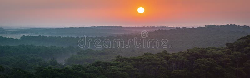 Coucher Du Soleil Forêt De Du Pilat Dunaire La Plus Grande