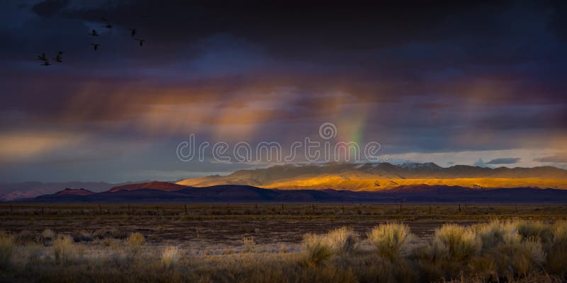 Coucher du soleil orageux avec la pluie et l'arc-en-ciel dans le désert avec la lumière sur la gamme de montagne photos libres de droits Coucher du soleil orageux avec la pluie et l'arc-en-ciel dans le désert avec la lumière sur la gamme de montagne photos libres de droits