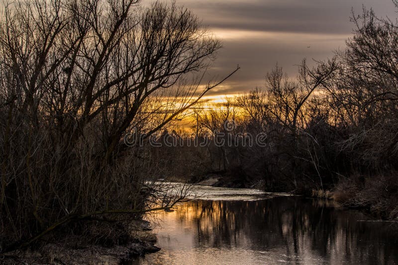 Coucher du soleil sur la rivière de Boise par les arbres et la brosse photo stock Coucher du soleil sur la rivière de Boise par les arbres et la brosse photo stock