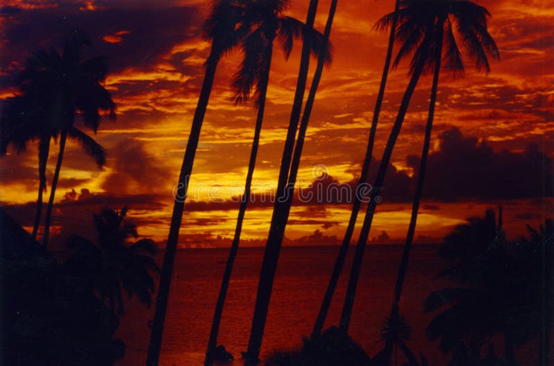 Raiatea, La Terre Originelle De La Polynésie D'antan | Tahiti