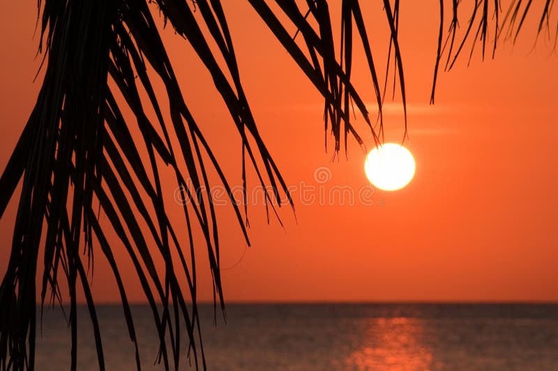 Coucher du soleil tropical au-dessus de mer photo libre de droits Coucher du soleil tropical au-dessus de mer photo libre de droits