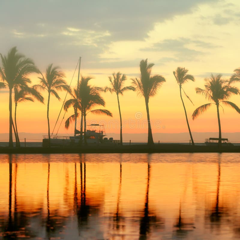 Coucher du soleil tropical de plage de paradis avec des palmiers photographie stock libre de droits Coucher du soleil tropical de plage de paradis avec des palmiers photographie stock libre de droits