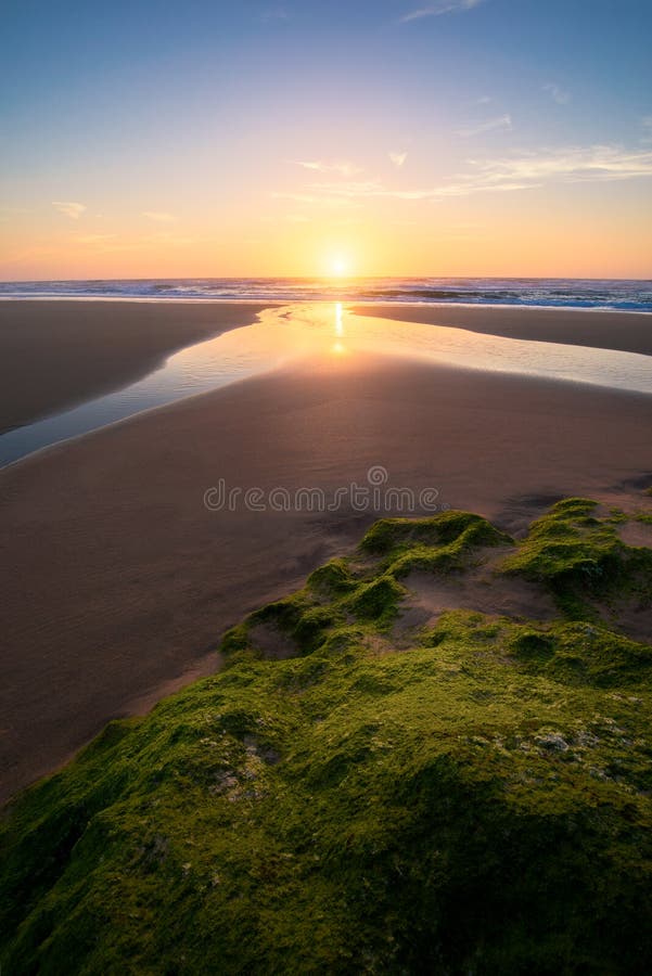 Coucher du soleil à la plage, mousse verte sur la pierre à la plage dans Algarve, Portugal Belle plage de roche avec de la mousse photo libre de droits Coucher du soleil à la plage, mousse verte sur la pierre à la plage dans Algarve, Portugal Belle plage de roche avec de la mousse photo libre de droits