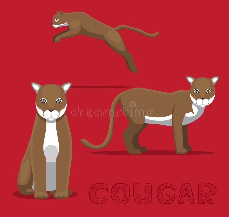 Cougar Cartoon Stock Illustrations – 1,498 Cougar Cartoon Stock  Illustrations, Vectors & Clipart - Dreamstime