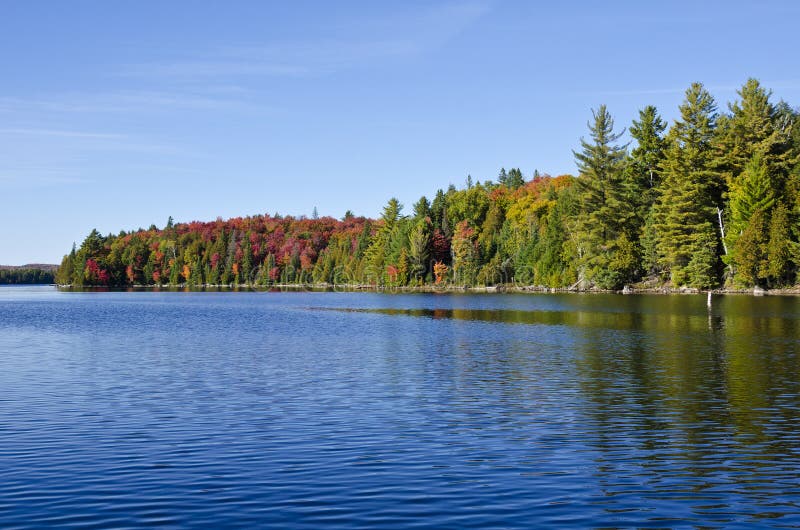 Couleurs d'automne au lac canoe en stationnement de l'algonquin photographie stock Couleurs d'automne au lac canoe en stationnement de l'algonquin photographie stock