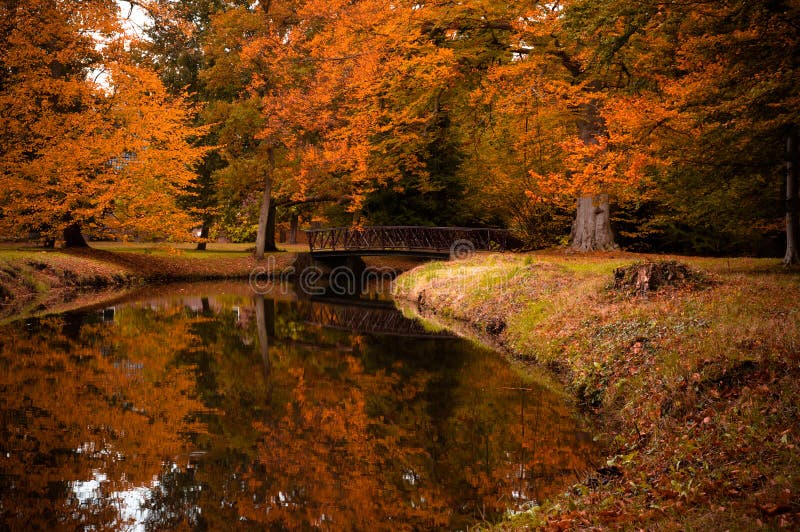 Couleurs d'automne dans la forêt photographie stock libre de droits Couleurs d'automne dans la forêt photographie stock libre de droits