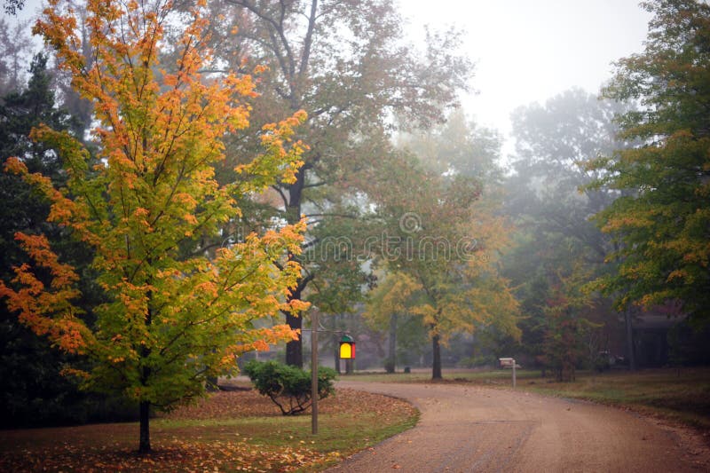 Couleurs d'automne de l'Arkansas de ressorts de Heber photographie stock Couleurs d'automne de l'Arkansas de ressorts de Heber photographie stock