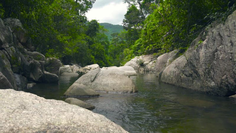 Coulez l'eau propre en rivière coulant entre de grands pierres et rochers Forêt tropicale verte et rivière pierreuse dans la jung banque de vidéos