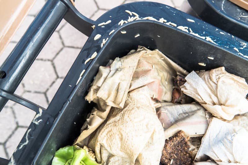 Countless Crawling Maggots in and Around an Organic Waste Bin Stock