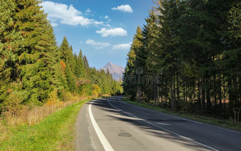 Country asphalt road, coniferous trees on both sides, mount Krivan peak Slovak symbol  with blue sky above, in distance