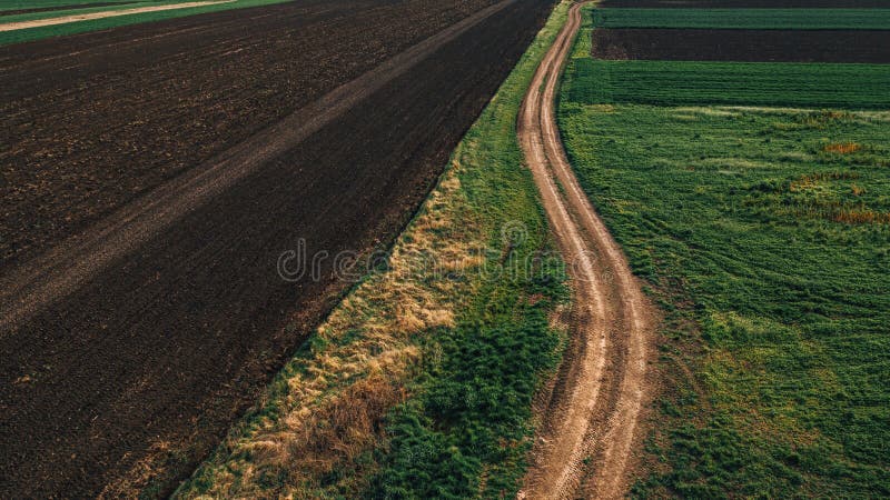 Country Dirt Road Between Cultivated Fields In Diminishing Perspective