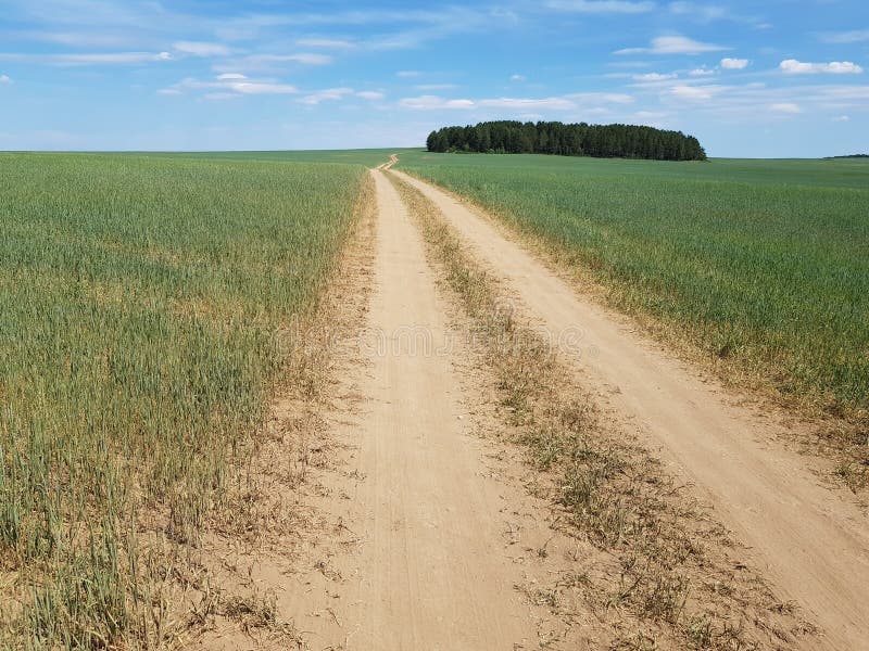 Country Dirt Road in the Field Stock Image Image of agriculture