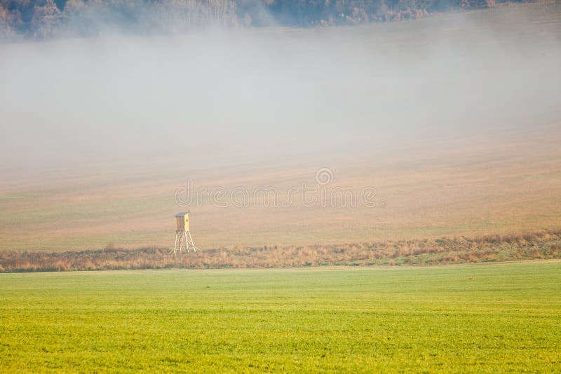 Country field fog landscape on autumn day