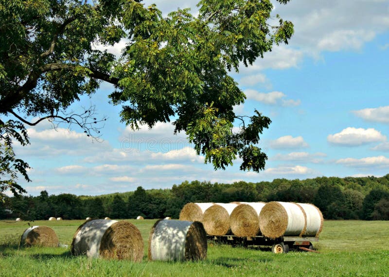 Country Hay Wagon