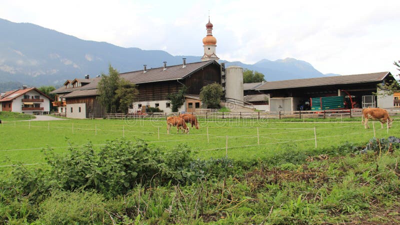 Farm houses with green grass and raincloud countryside Farmland in tirol Austria. Farm houses with green grass and raincloud countryside Farmland in tirol Austria