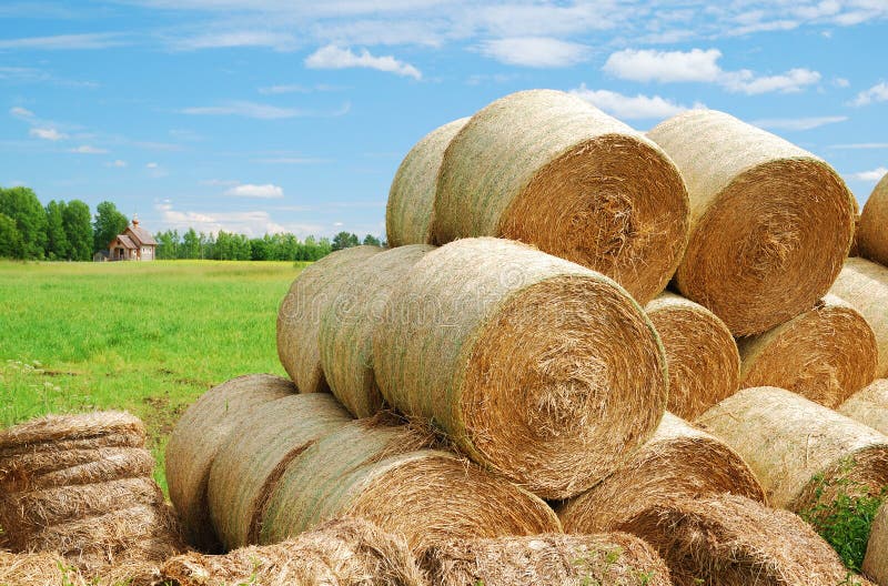 Country ladscape with heap of straw bales