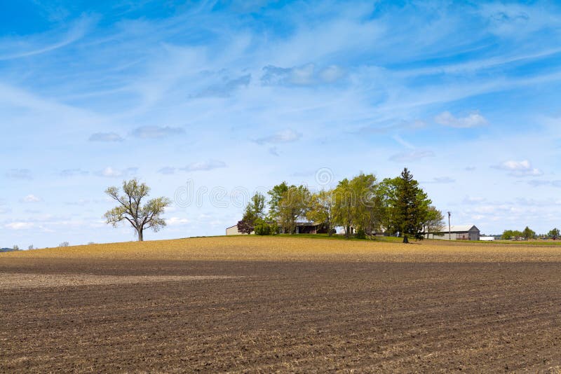 Country Landscape royalty free stock image