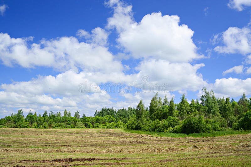 country landscape photo country landscape photo
