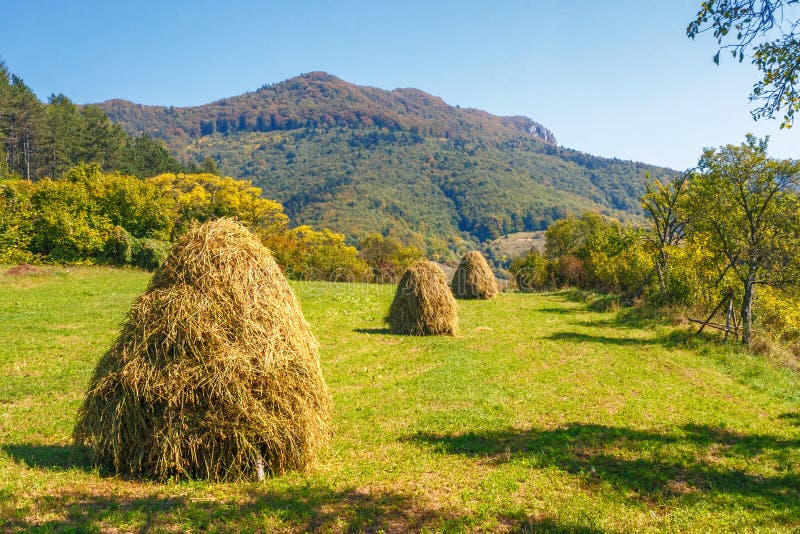 Country landscape, grassy meadow with haylofts, Slovakia stock photography Country landscape, grassy meadow with haylofts, Slovakia stock photography