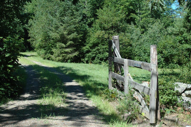 Country lane stock image. Image of lane, driveway, path 1228493