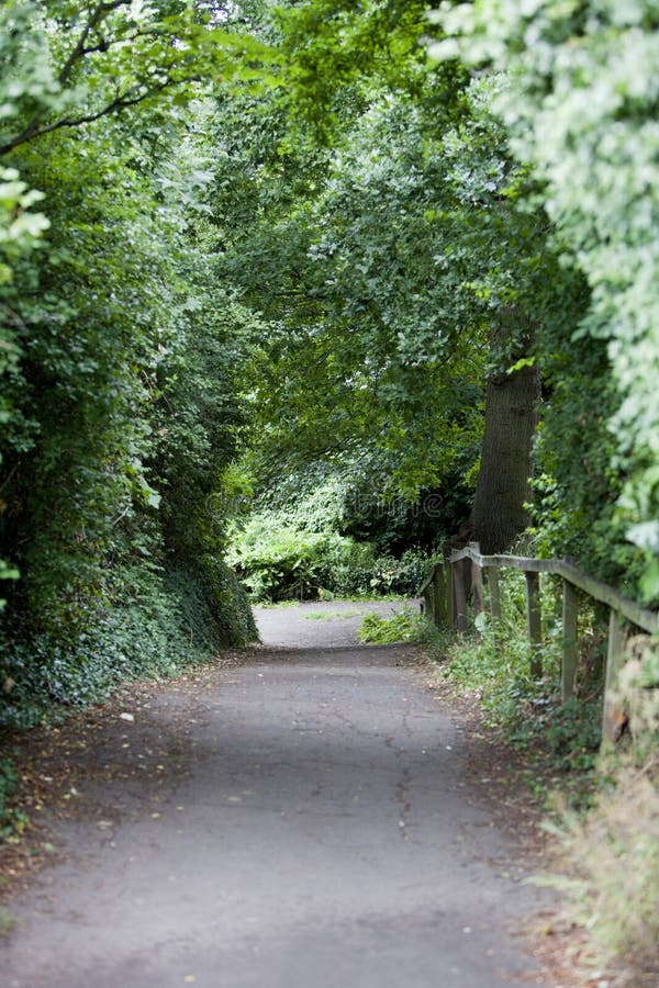 Country Lane in British Countryside royalty free stock photos