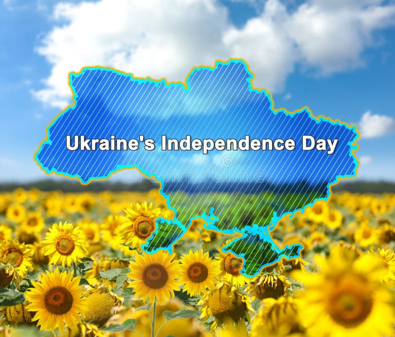 Country outline with text Ukraine`s Independence Day and sunflower field under blue sky on background
