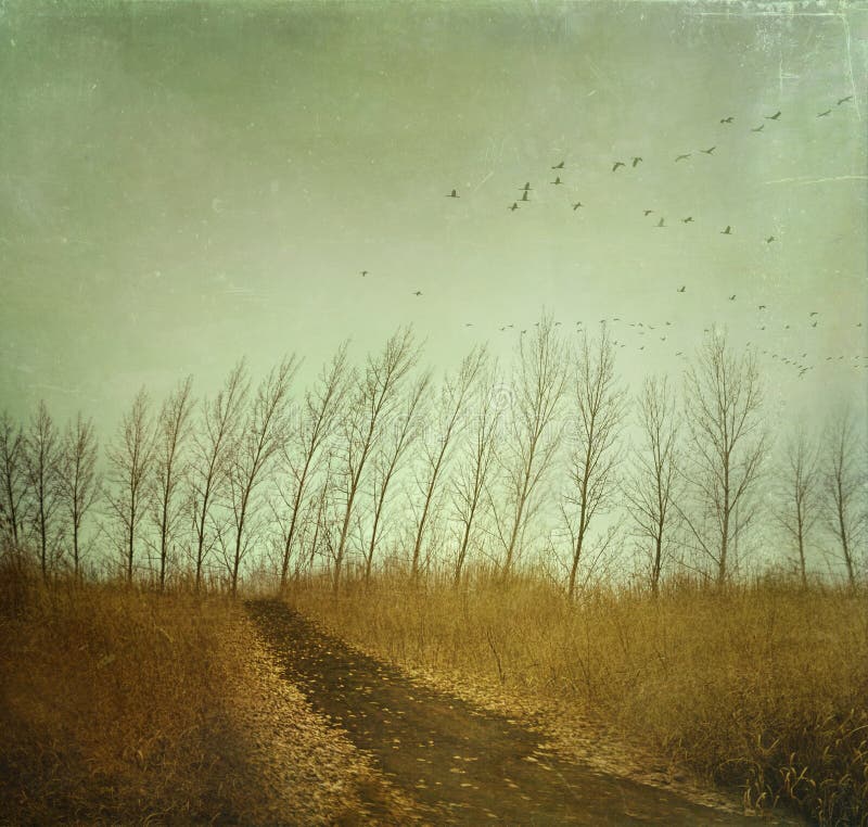 Country path in autumn fields