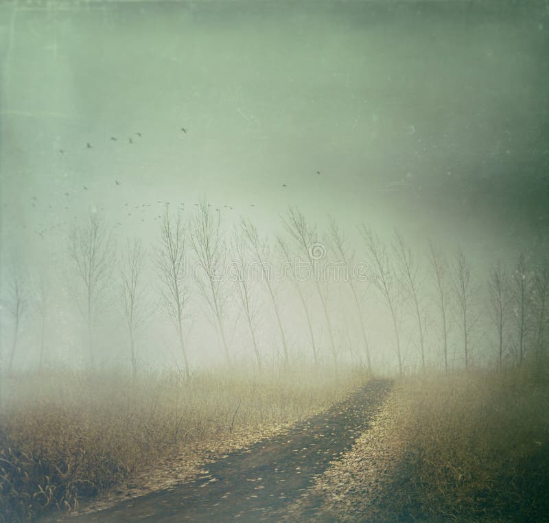 Country path in autumn fields