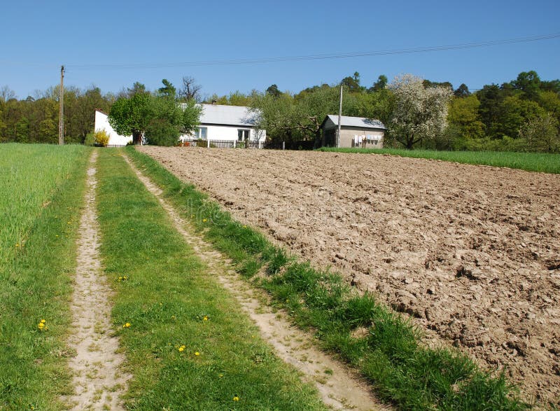 Country road