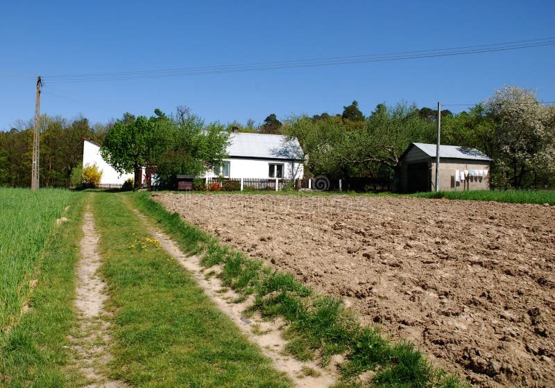 Country road