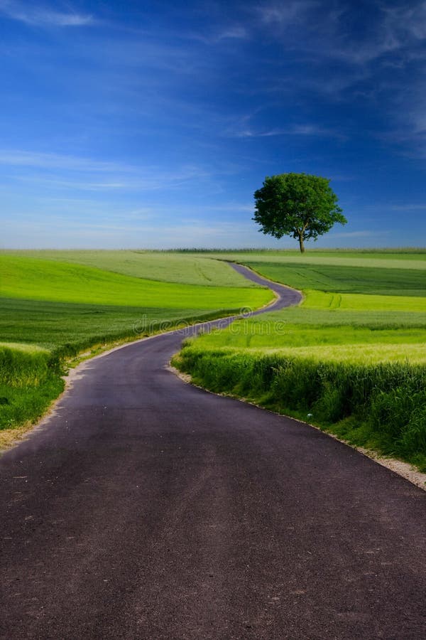 341,572 Road Meadow Stock Photos - Free & Royalty-Free Stock