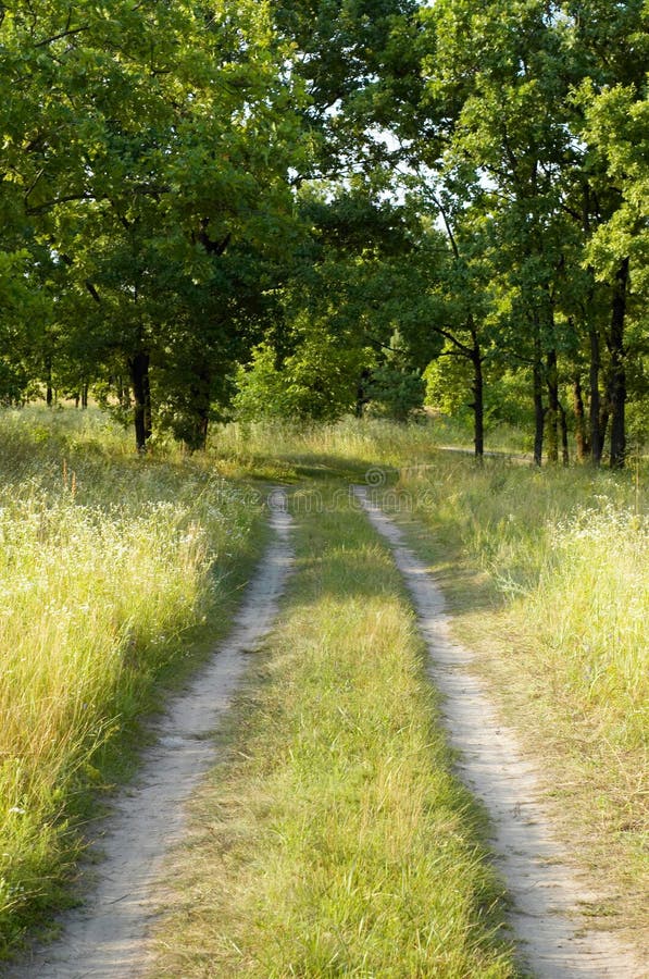 Country road