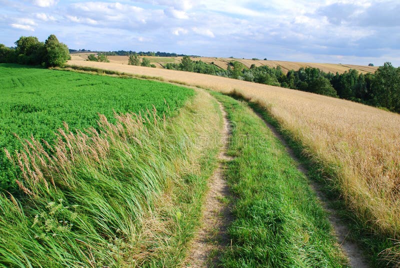 Country road