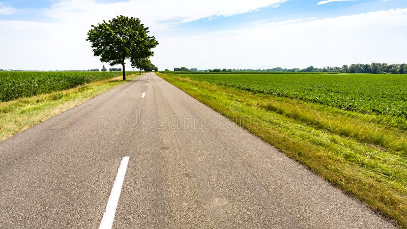 country road between fields in Alsace region