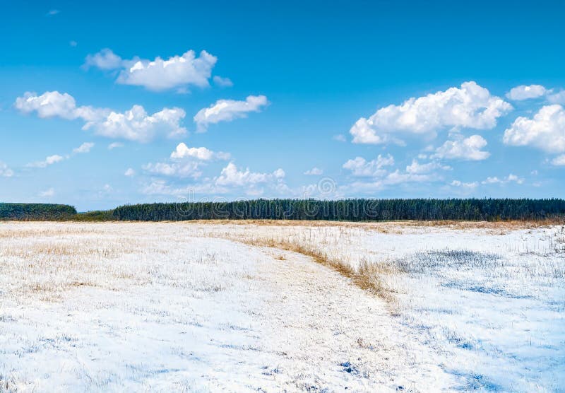 Beautiful frozen fields stock photo. Image of outdoor - 252480002