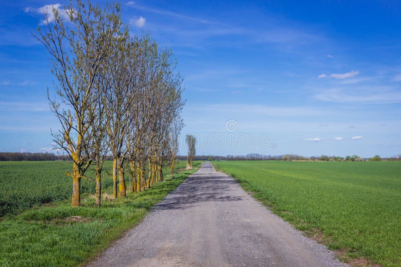 Venkovská silnice na Slovensku