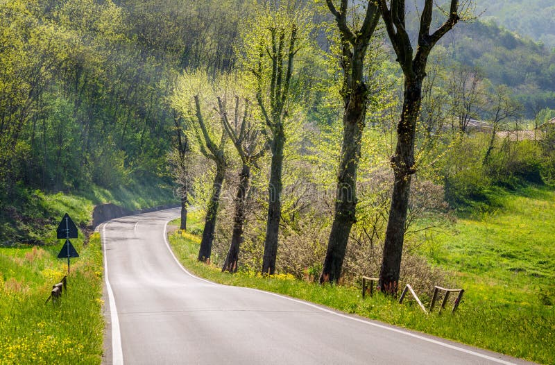 Country road on a Sunny Spring Day royalty free stock photo Country road on a Sunny Spring Day royalty free stock photo