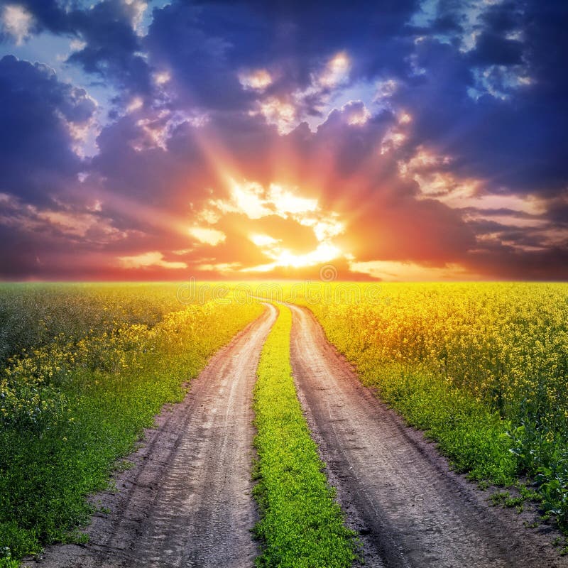 Country road and sunset stock image. Image of nature - 33837595