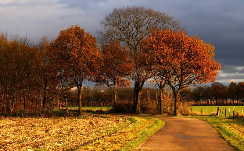 country road to some nice colored autumn trees w