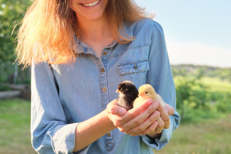 Country rustic style, Beautiful smiling teen girl with newborn baby chickens