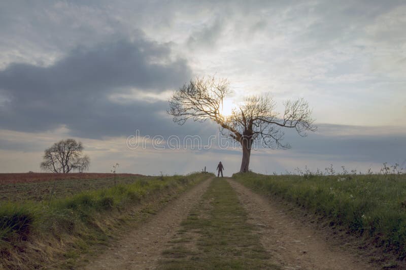 A country track leading to a spooky, lone, hooded figure standing in the distance beneath a tree at sunset