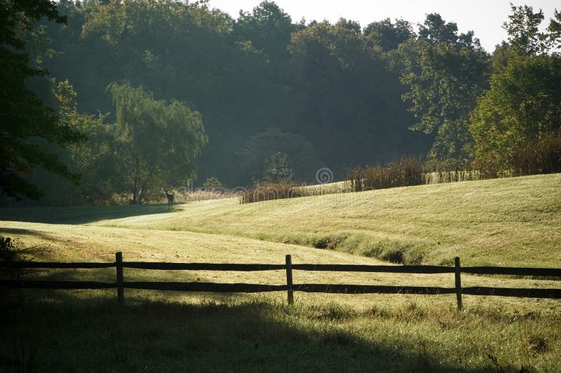 Country View