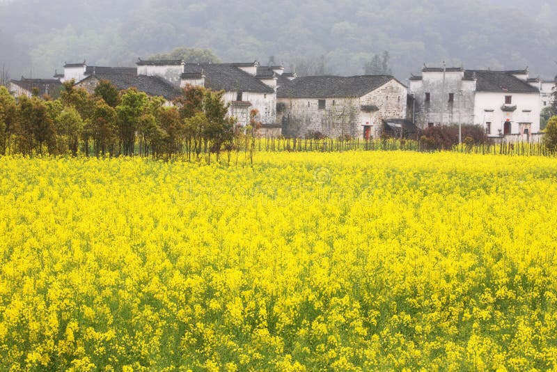 Country view in Wuyuan